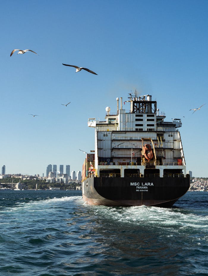 Cargo ship sailing in the Bosphorus Strait, Turkey, with seagulls and city skyline in the background.